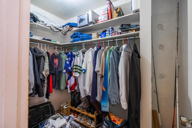 737 Carma Way, Washington, UT 84780 - view of spacious closet