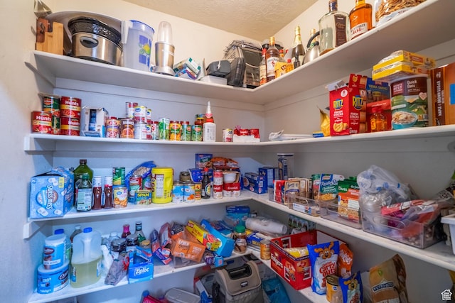 737 Carma Way, Washington, UT 84780 - view of storage area