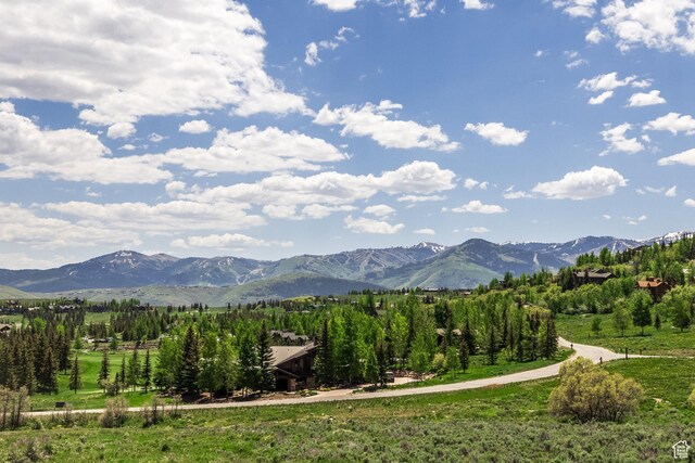 8066 N Red Fox Ct, Park City, UT 84098 - photo 72
