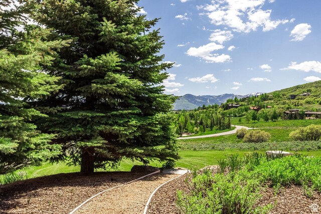 8066 N Red Fox Ct, Park City, UT 84098 - photo 80