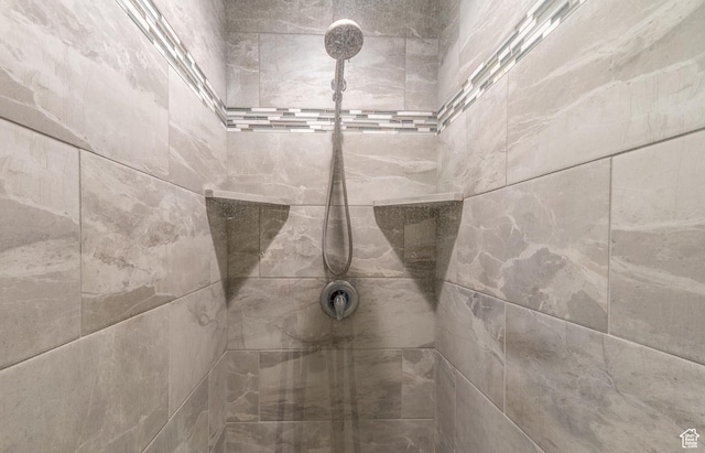 3867 N Chapman Dr, Eagle Mountain, UT 84005 - bathroom view of tiled shower
