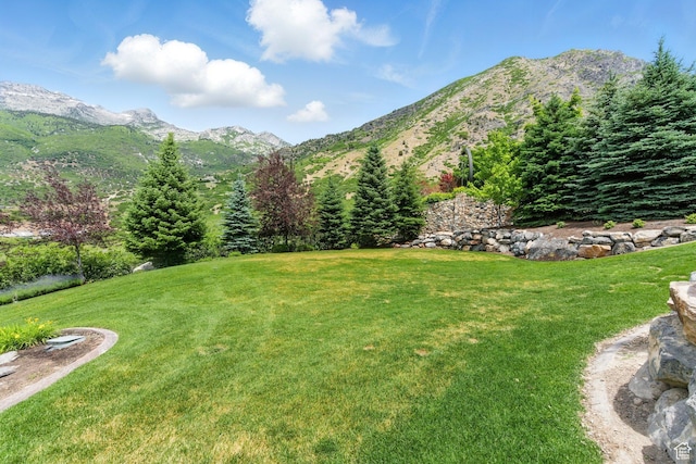 1643 E Box Elder Dr, Alpine, UT 84004 - view of grassy yard with a mountain view