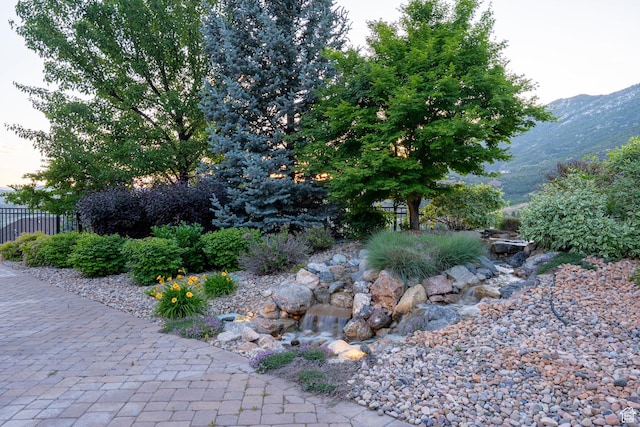 1643 E Box Elder Dr, Alpine, UT 84004 - view of yard with a mountain view
