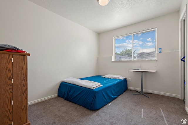 835 E 500 N, Spanish Fork, UT 84660 - bedroom featuring carpet floors and a textured ceiling