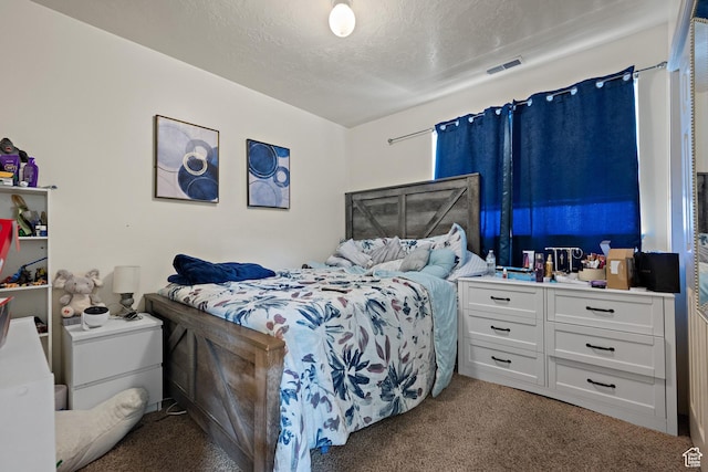 835 E 500 N, Spanish Fork, UT 84660 - bedroom with light colored carpet and a textured ceiling