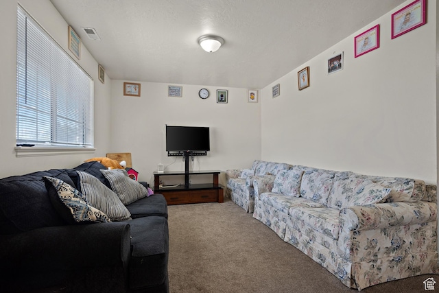 835 E 500 N, Spanish Fork, UT 84660 - view of carpeted living room