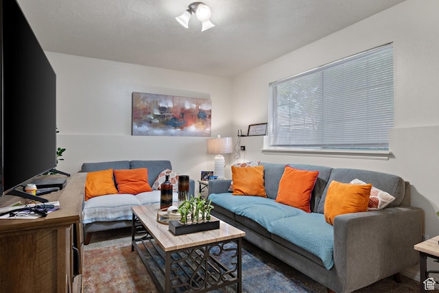 835 E 500 N, Spanish Fork, UT 84660 - view of living area