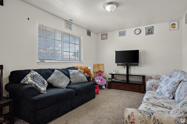835 E 500 N, Spanish Fork, UT 84660 - view of carpeted living room