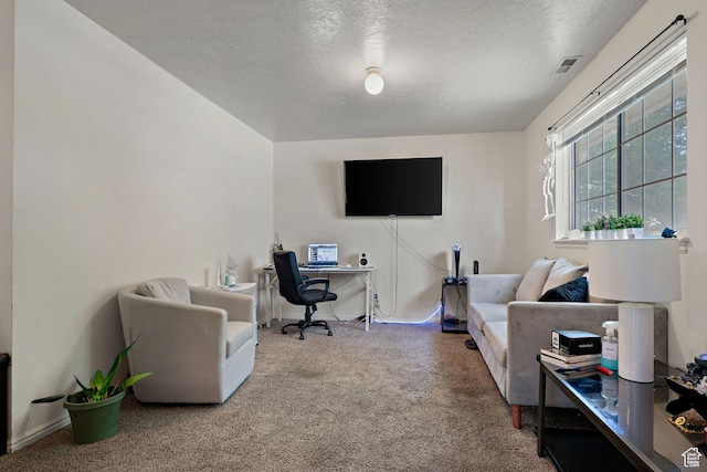 835 E 500 N, Spanish Fork, UT 84660 - carpeted home office with a textured ceiling
