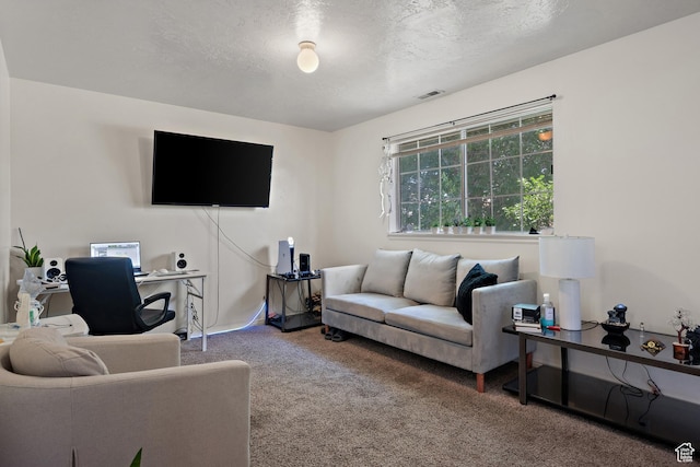 835 E 500 N, Spanish Fork, UT 84660 - carpeted living room with a textured ceiling