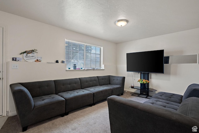 835 E 500 N, Spanish Fork, UT 84660 - living area with carpet flooring and a textured ceiling