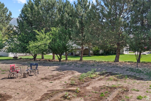 90 S 200 E, Lindon, UT 84042 - photo 36
