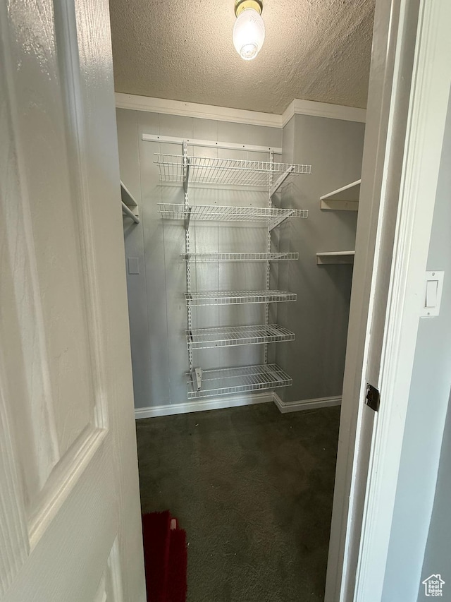 1885 S 50 W, Bountiful, UT 84010 - spacious closet with carpet flooring