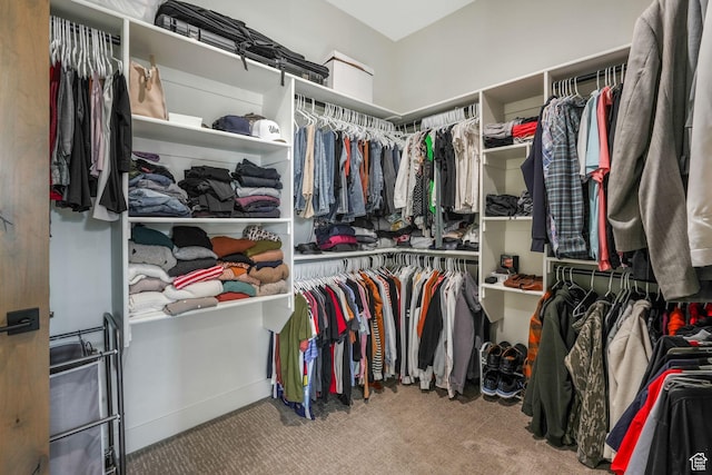 330 N Haystack Mountain Dr, Heber City, UT 84032 - walk in closet featuring carpet floors