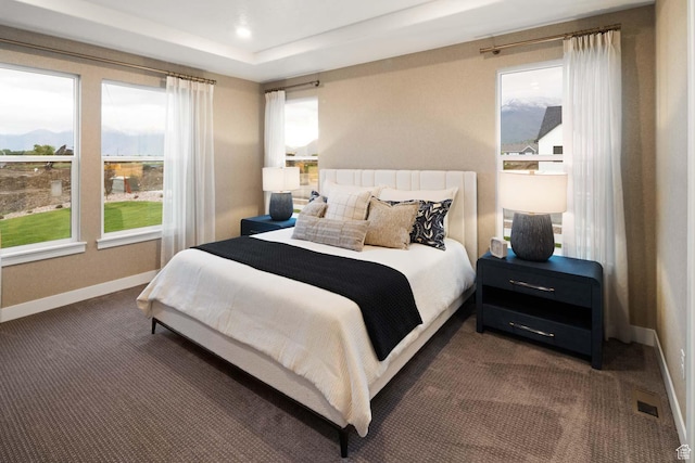 1587 E 820 N Unit 108, Salem, UT 84653 - bedroom featuring dark carpet and a raised ceiling