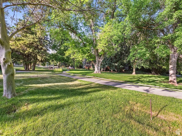 3228 N Brook Ln W, Provo, UT 84604 - surrounding community with a lawn