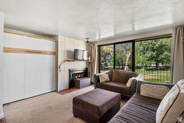 2176 S Bear Blvd # 421, Garden City, UT 84028 - living area featuring a textured ceiling, a warm lit fireplace, and carpet floors