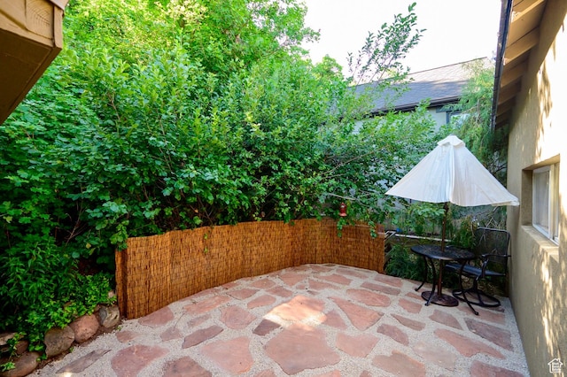 1155 N Pinecrest Canyon Rd, Salt Lake City, UT 84108 - view of patio / terrace