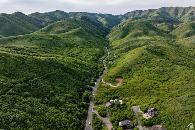 1155 N Pinecrest Canyon Rd, Salt Lake City, UT 84108 - view of mountain background with a forest