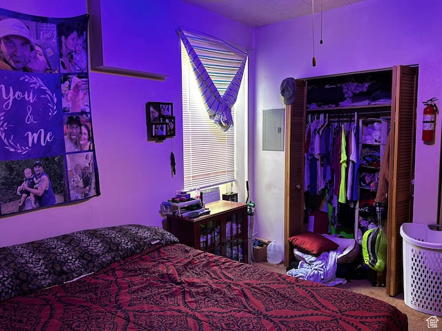 59 S S 400 E, American Fork, UT 84003 - bedroom with electric panel, carpet, and a closet