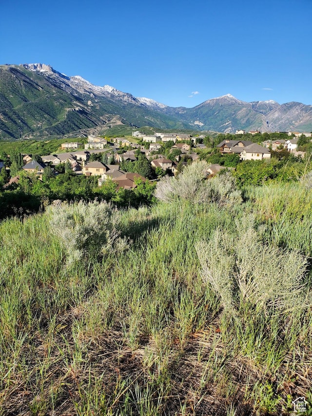 14849 S Saddle Leaf Ct, Draper, UT 84020