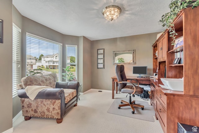 5149 W Rendezvous, Mountain Green, UT 84050 - carpeted home office with a textured ceiling