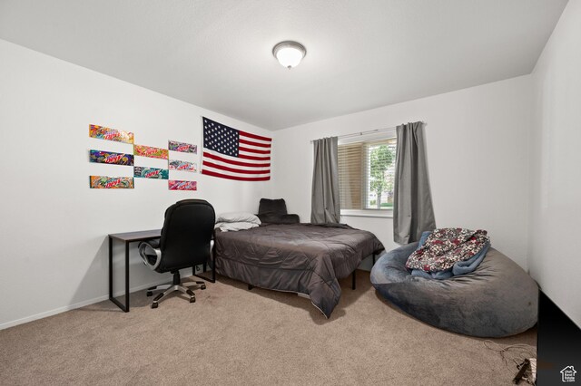 7174 S Shadow Ridge Dr Unit 1A, Midvale, UT 84047 - photo 12