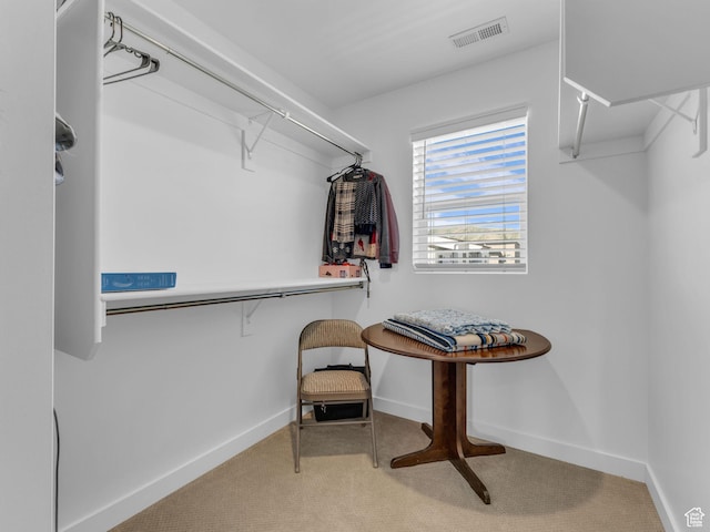 5251 W Linley Ct, Herriman, UT 84096 - spacious closet with carpet