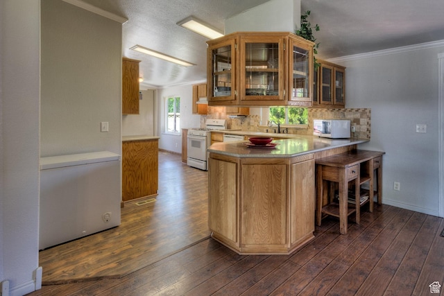 466 W Wingate Ave, Moab, UT 84532 - kitchen featuring white appliances, dark wood-type flooring, ornamental molding, tasteful backsplash, and glass insert cabinets