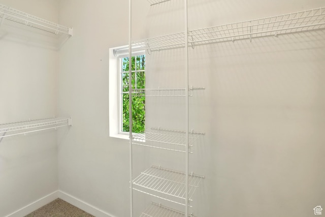 5254 W Burntside Ave, South Jordan, UT 84009 - walk in closet featuring carpet floors