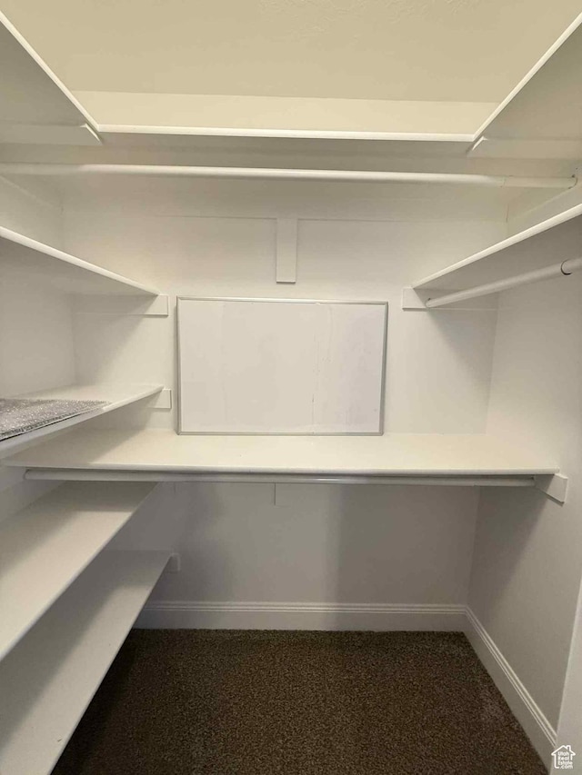 420 N Josephine Ln, Price, UT 84501 - view of walk in closet