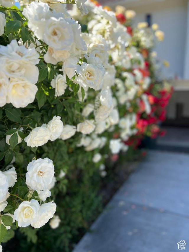 2512 E Redondo Ave S, Salt Lake City, UT 84108 - detailed view