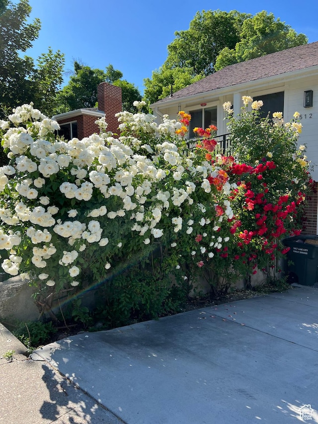 2512 E Redondo Ave S, Salt Lake City, UT 84108 - view of yard