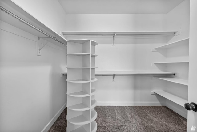 998 W 950 N, Orem, UT 84057 - walk in closet featuring carpet floors