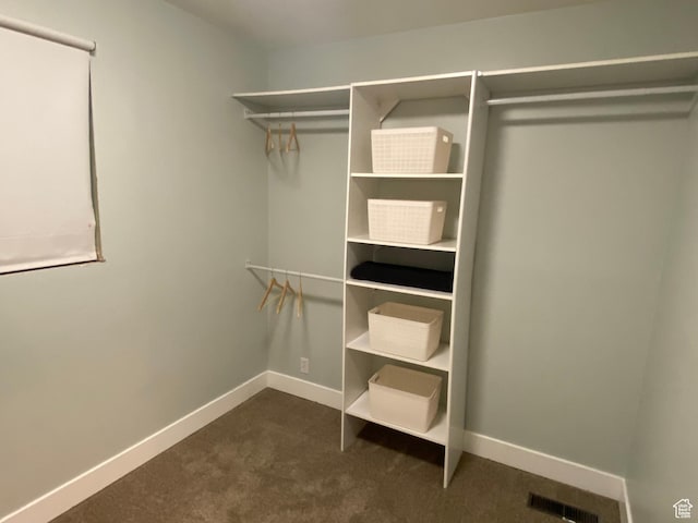 1740 N 1400 W, Provo, UT 84604 - walk in closet with dark colored carpet