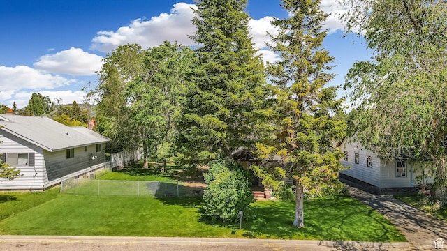 331 Chateau Thierry St, Soda Springs, ID 83276 - view of yard
