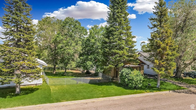 331 Chateau Thierry St, Soda Springs, ID 83276 - view of yard