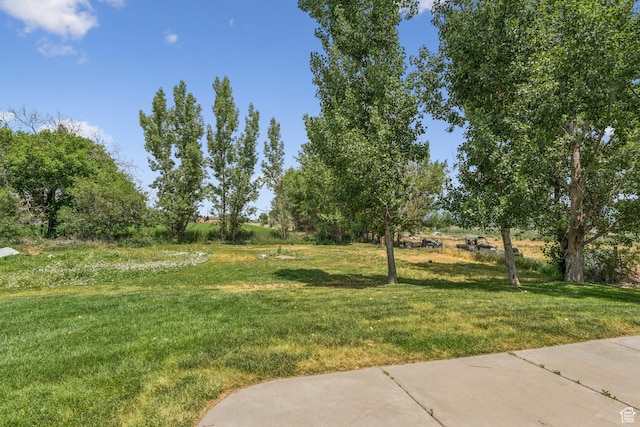 2828 W Gentile St, Layton, UT 84041 - view of grassy yard