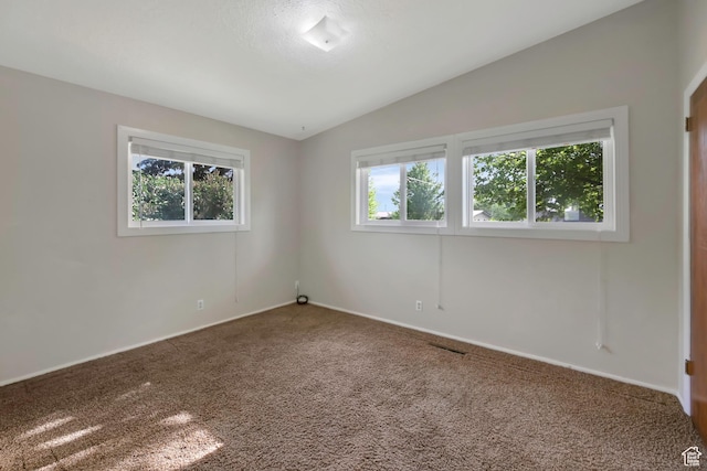 421 S 90 W, Richmond, UT 84333 - carpeted spare room with vaulted ceiling and baseboards