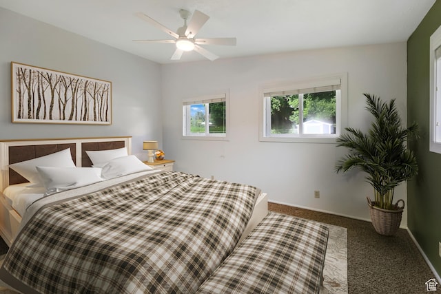 421 S 90 W, Richmond, UT 84333 - carpeted bedroom with baseboards and ceiling fan