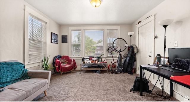 509 E 800 S, Salt Lake City, UT 84102 - living area with carpet floors