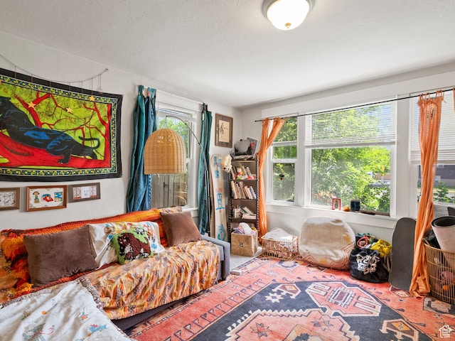 509 E 800 S, Salt Lake City, UT 84102 - living area with healthy amount of natural light