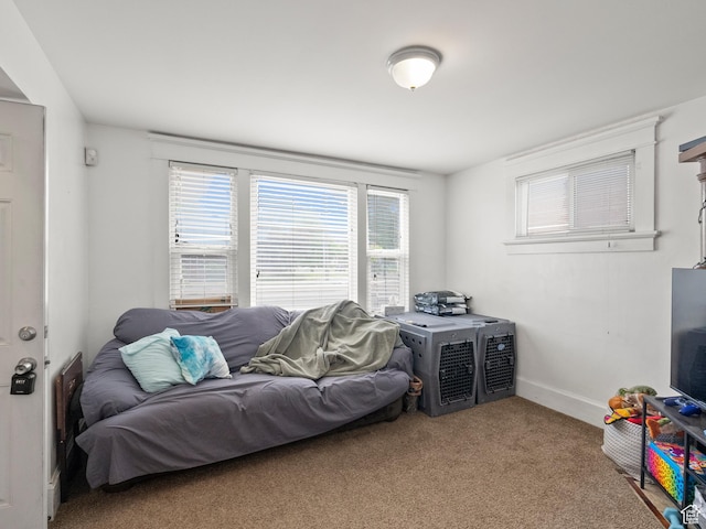 509 E 800 S, Salt Lake City, UT 84102 - living room with healthy amount of natural light and carpet flooring