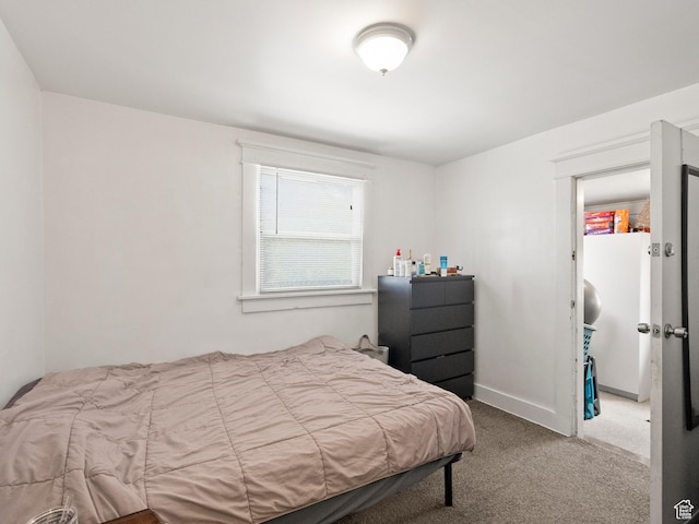 509 E 800 S, Salt Lake City, UT 84102 - bedroom featuring carpet flooring and baseboards