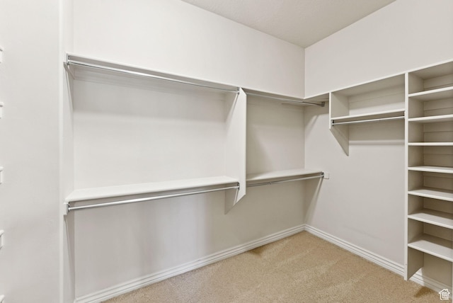 1369 E Farm Dr, Murray, UT 84117 - walk in closet with carpet