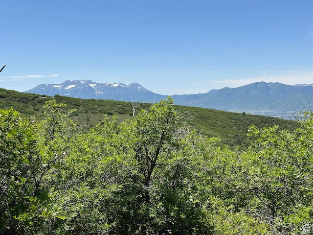 7709 E Grove Ln Unit 1331-B, Heber City, UT 84032