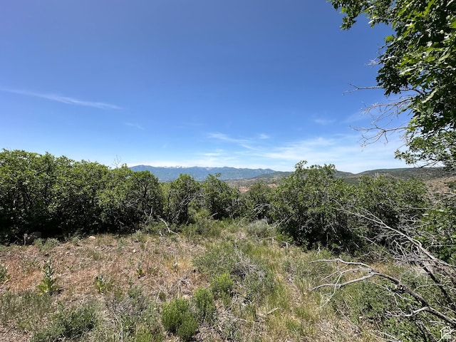 7709 E Grove Ln Unit 1331-B, Heber City, UT 84032
