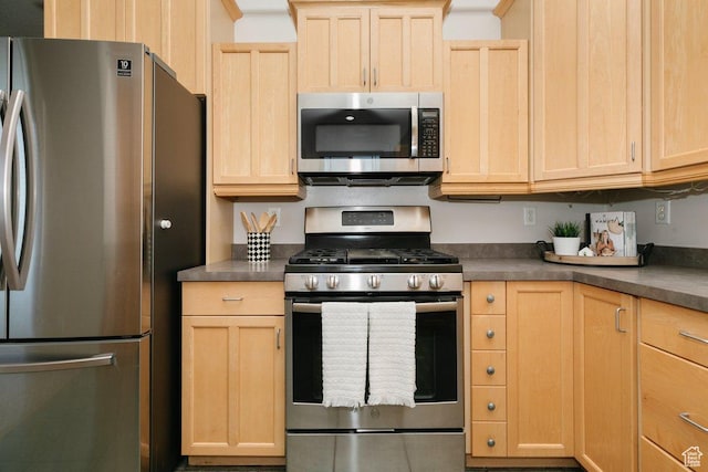 287 S 375 W, Providence, UT 84332 - kitchen with stainless steel appliances, light brown cabinetry, and dark countertops