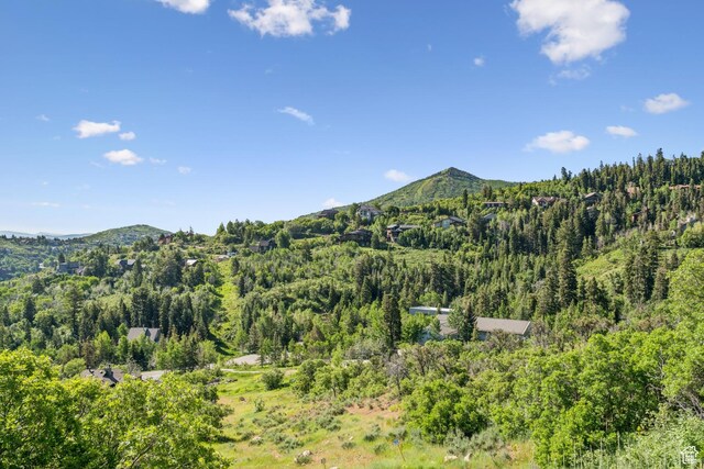 7676 Buckboard Dr, Park City, UT 84098 - photo 4