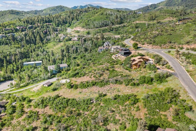 7676 Buckboard Dr, Park City, UT 84098 - photo 25